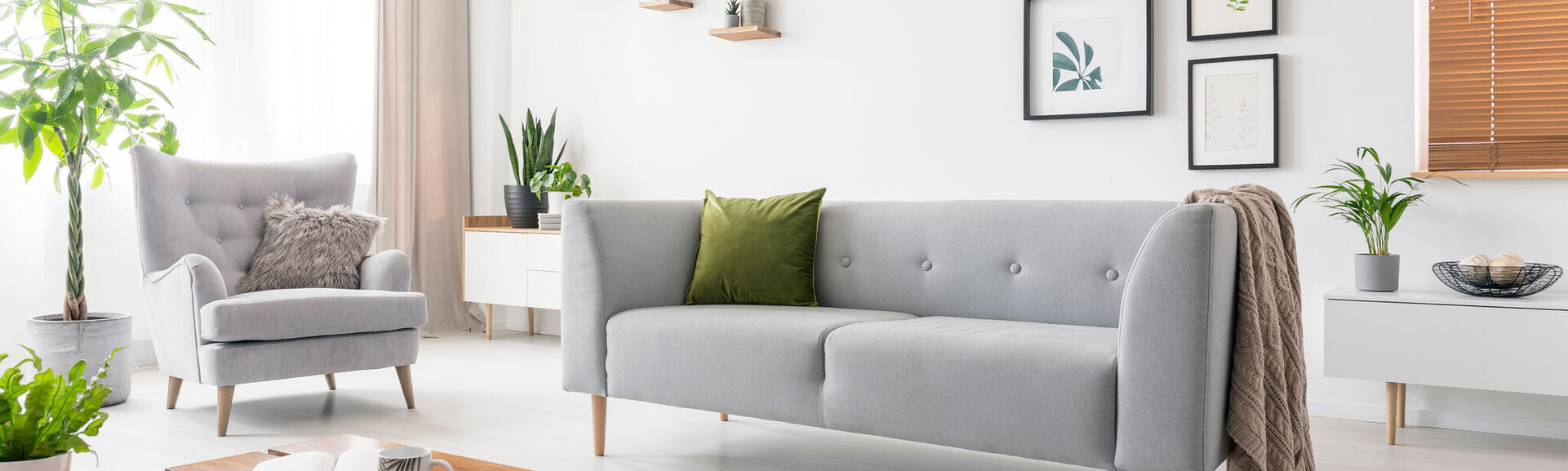 grey sofa with green cushion and blanket standing in white living room