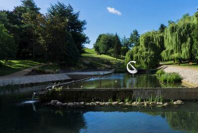 Harlow town park 