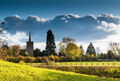 A field in Bishop's Stortford