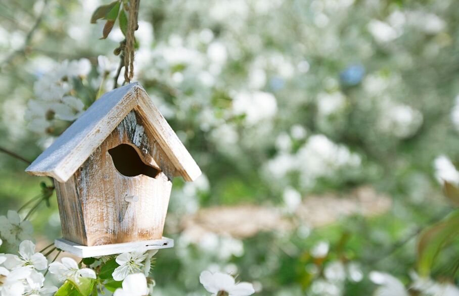 a wooden birdhouse in spring