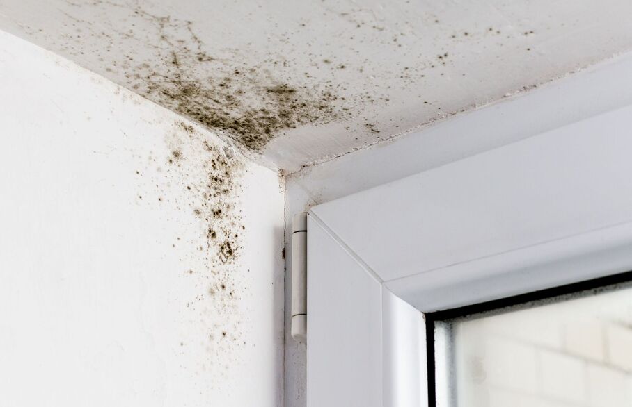What is Awaab's Law and how can landlords prepare? A guide