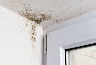 What is Awaab's Law and how can landlords prepare? A guide