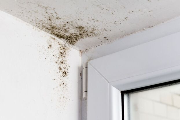 What is Awaab's Law and how can landlords prepare? A guide