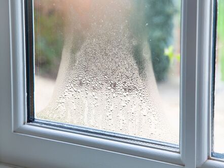 Condensation on a window