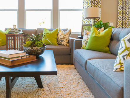 Beautiful Living Area with Coffee Table and Couch